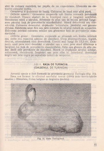 p141 087