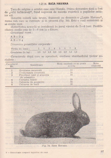 p141 093