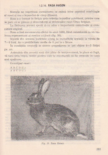 p141 097