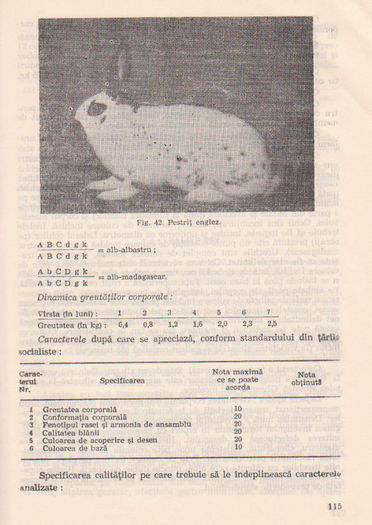 p141 111