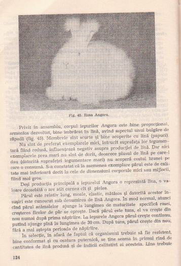 p141 120