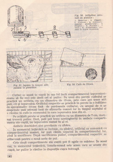 p141 146