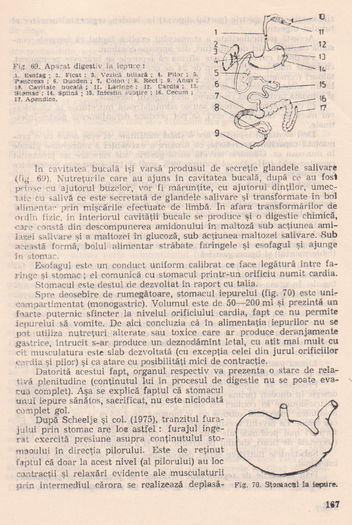 p141 161