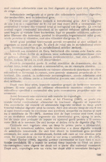 p141 163