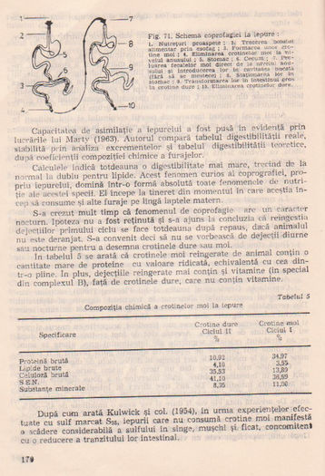 p141 164