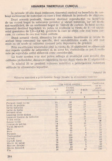 p141 196