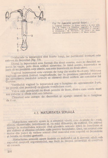 p141 200