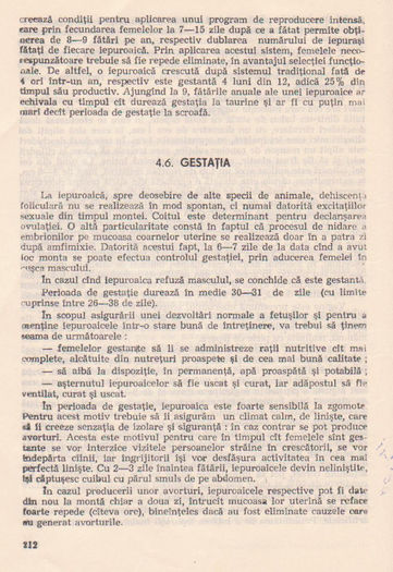 p141 204