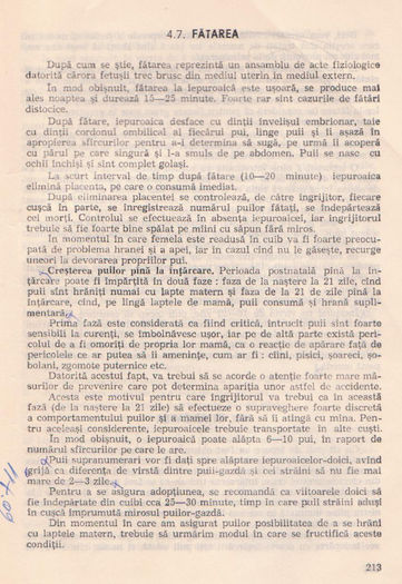 p141 205