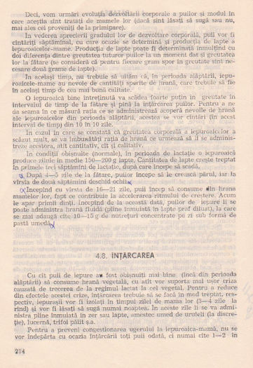 p141 206
