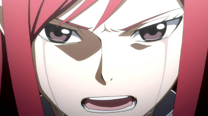 Erza.Scarlet.full.433167 - Erza Scarlet