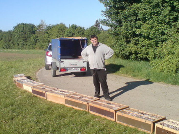 training-vor-dem-gro - Hans Fleischmann