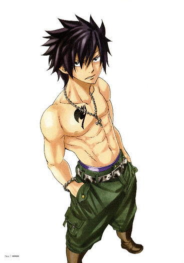 Gray.Fullbuster.full.1239063