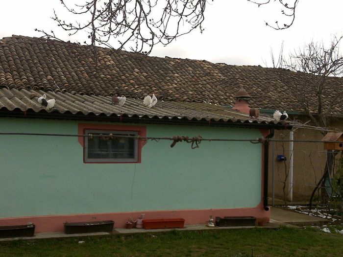 27032013420 - Voltati