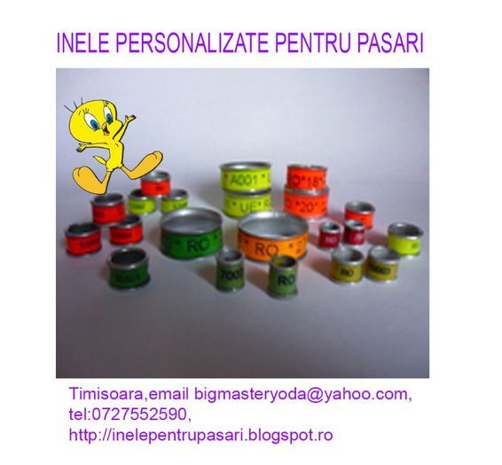 inele pasari, inele personalizate; inele pasari, inele personalizate
