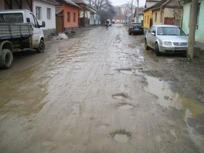 Capriorii (3) - aspecte ale municipiului___din era tertziara