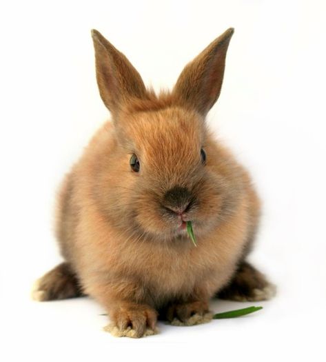 302697_423897840997695_1810518604_n