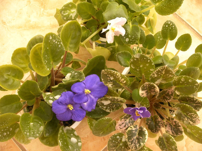IMAG0030