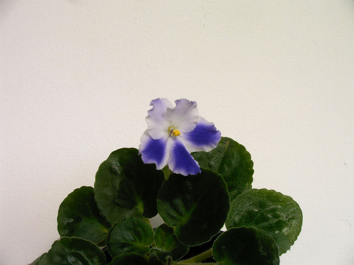 IMAG0012