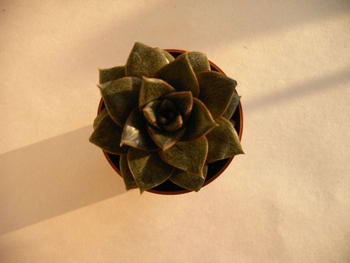 IMAG0044