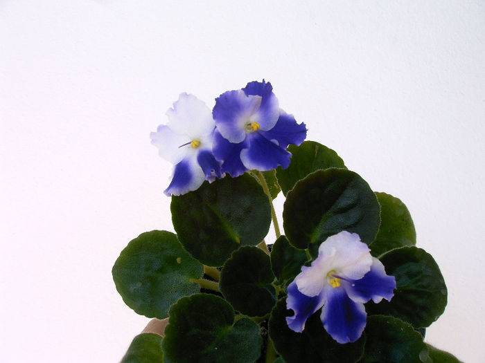 IMAG0029