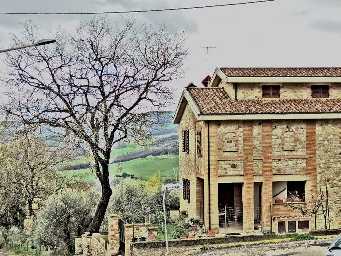 DSCN3382