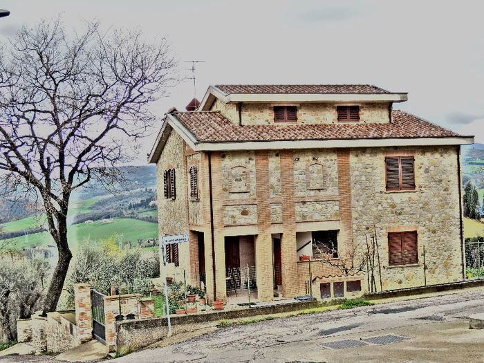 DSCN3383