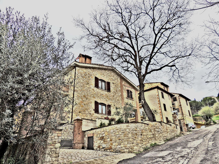 DSCN3388