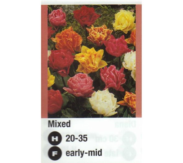 Mixed-900x800 - nnnnn
