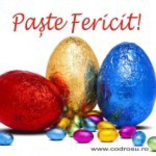 poze-Pasti-2012-150x150 - Paste Fericit