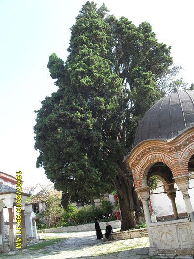 SDC11798 - Sfantul Munte Athos