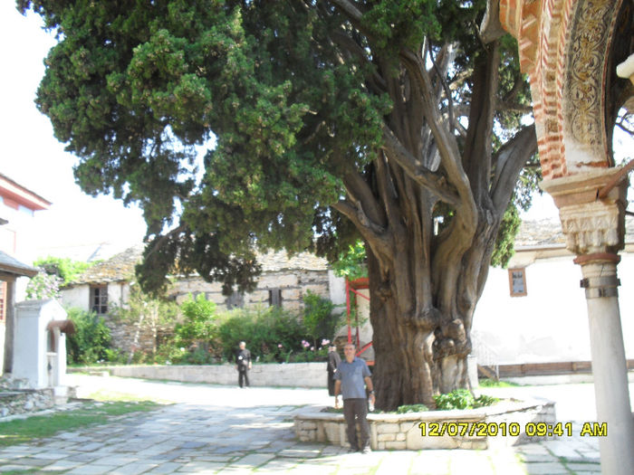 SDC11800 - Sfantul Munte Athos