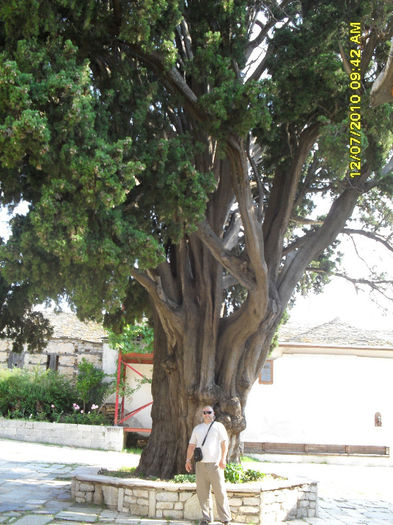 SDC11802 - Sfantul Munte Athos