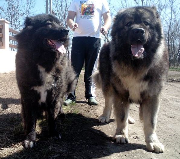 Bertha & Bruno 5