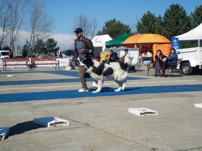 P1030443