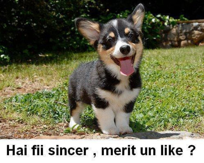 1689_499952493373452_421022728_n