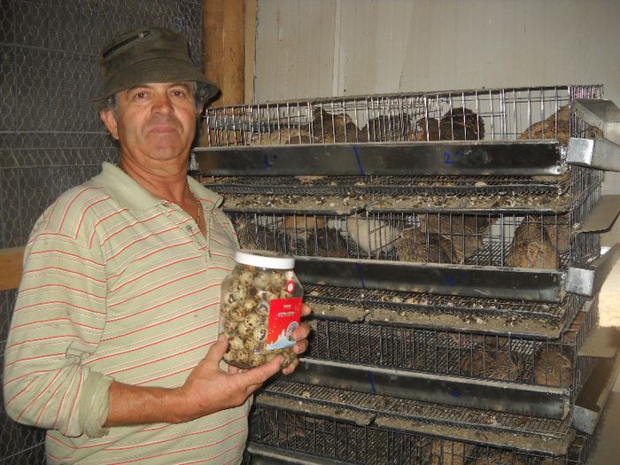 RECOLTA DE DIMINEATA