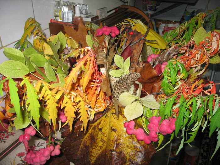 f10 009 - Aranjamente diverse