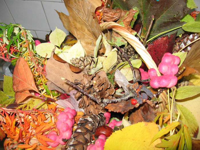 f10 010 - Aranjamente diverse