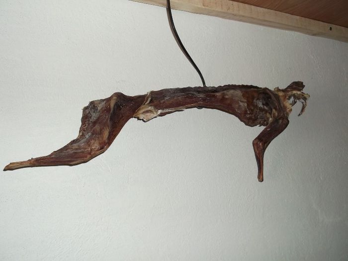 GHICI CE SOBOLAN ATARNA-N CUI ???