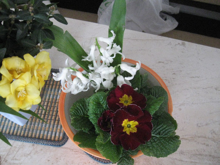 Picture 024 - Aranjamente diverse
