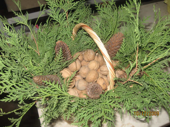 Picture 030 - Aranjamente diverse