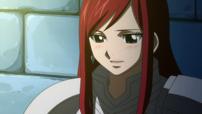 FAIRY TAIL - 10 - Large 22 - Erza Scarlet