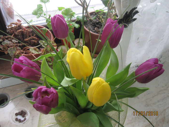 Picture 027 - Aranjamente diverse