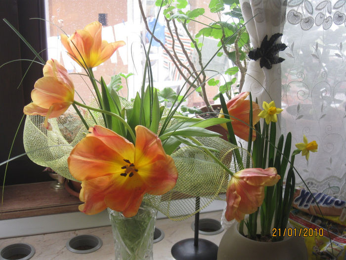 Picture 039 - Aranjamente diverse