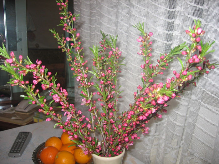  - Aranjamente diverse