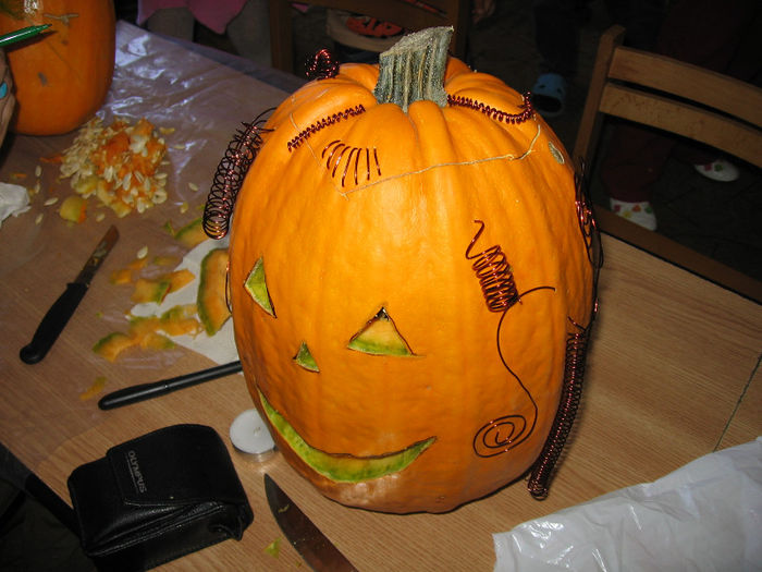 serb 022 - Aranjamente diverse