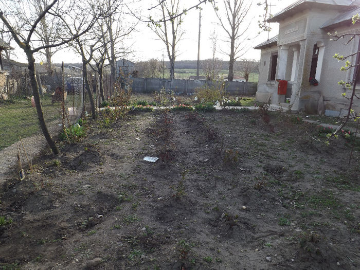 DSCF1341 - Primavara 2013