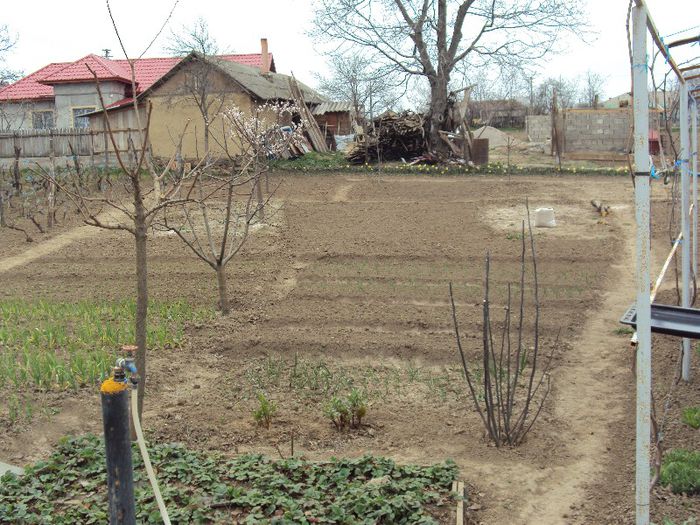 DSC01698