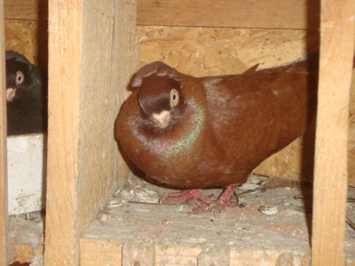 DSC06503